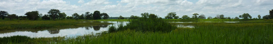 Toleza Farm, Malawi